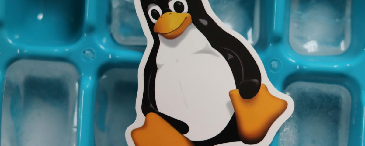 linux tux penguin mascot cutout lying on a tray with ice cubes